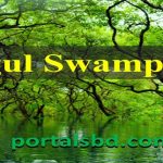 Ratargul Swamp Forest jpg
