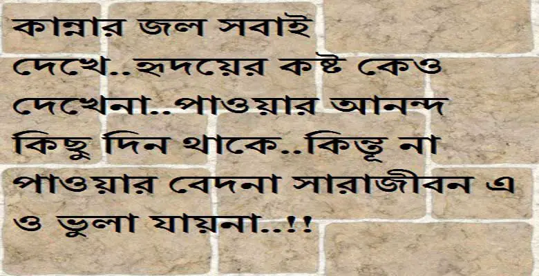 bengali sad shayari photo